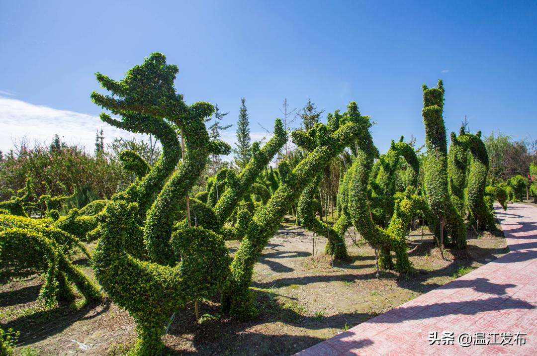 成都温江特色旅游,新旅游潮成都主题旅游目的地