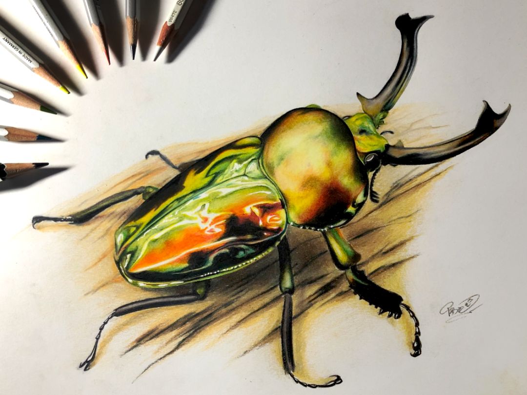 失明女孩铅笔画,保护视力守护心灵素描画