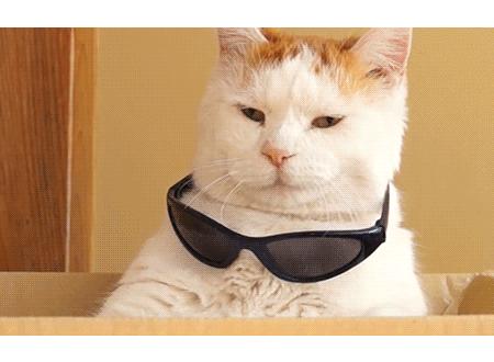 steam的钱怎么拿出来,steam怎么卖钱变现