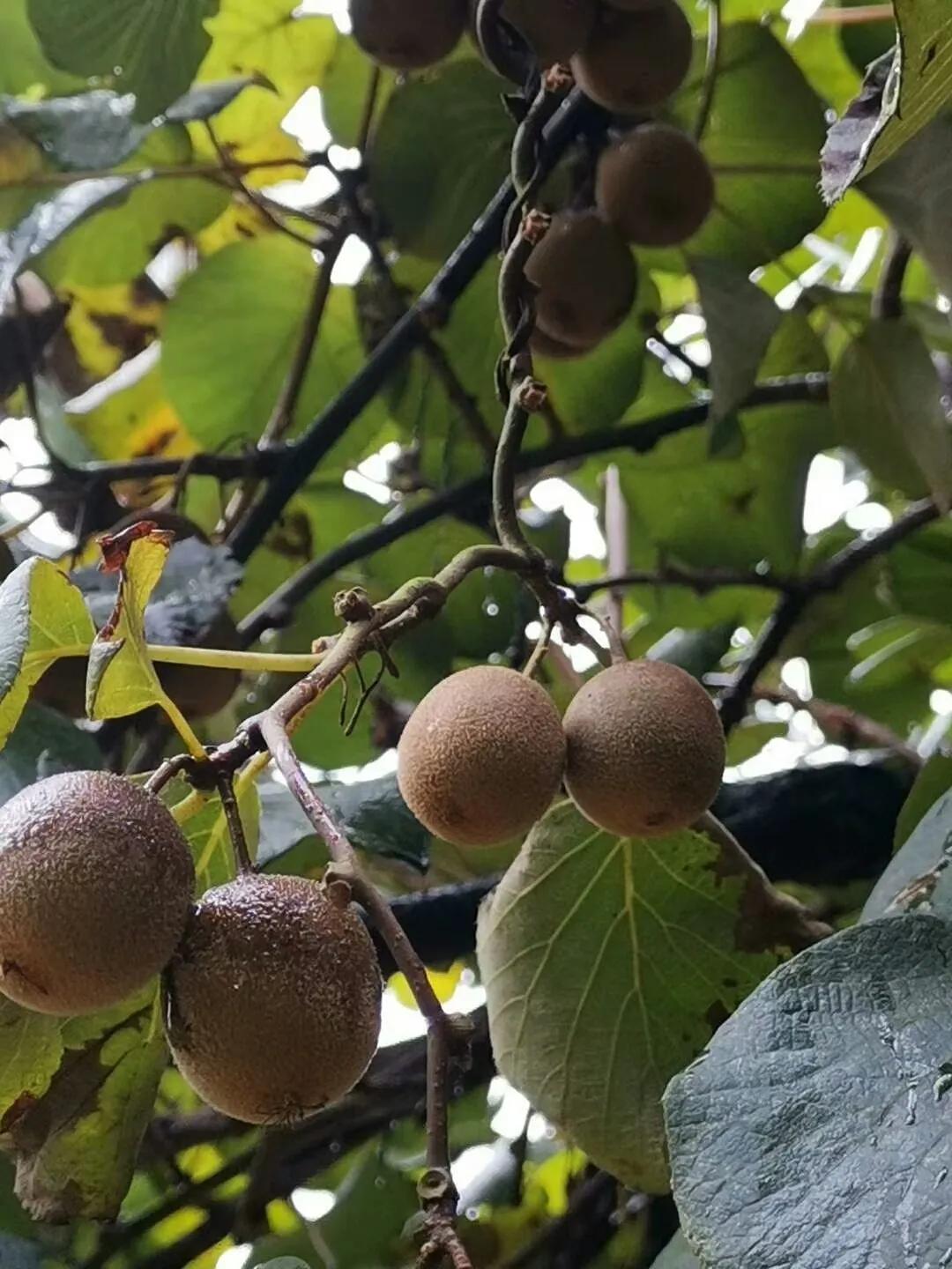 多彩贵州美丽的黔南都匀,美丽贵州都匀市