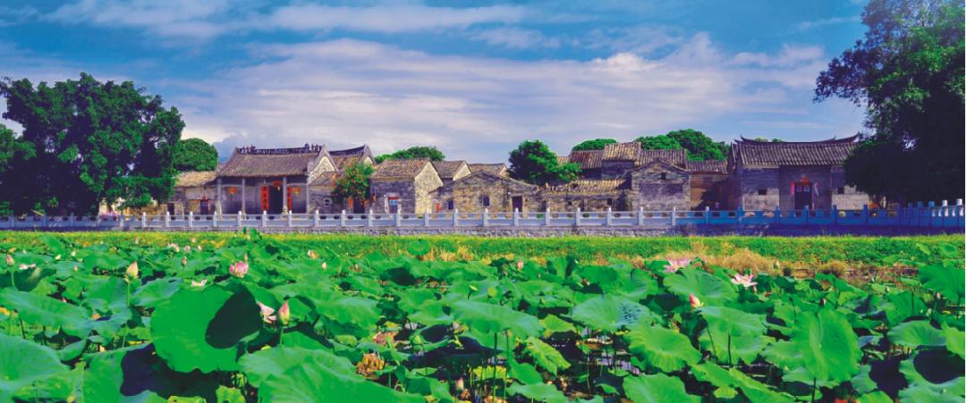 惠州适合亲子游的宝藏胜地,惠州宝藏打卡地