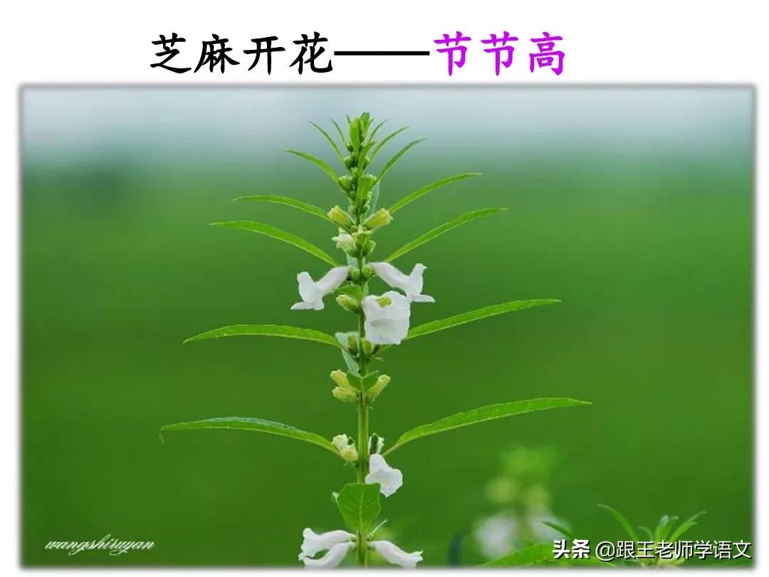 部编版语文一年级上册语文园地五,一年级下册语文语文园地五的讲解