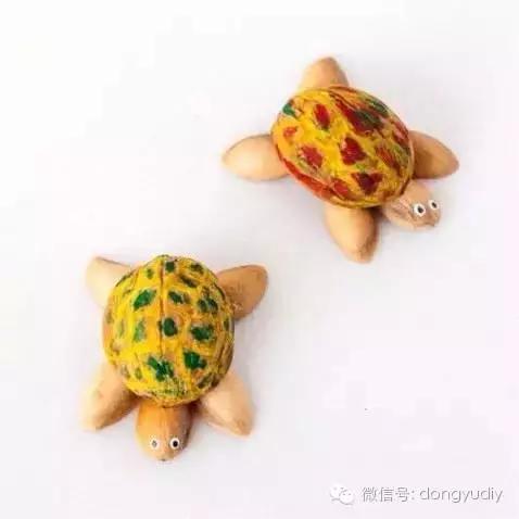 坚果壳艺术品,坚果壳能拿来做什么