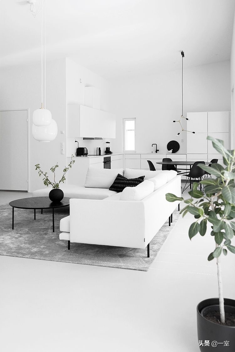 网红庭院植物搭配,网红绿植搭配技巧