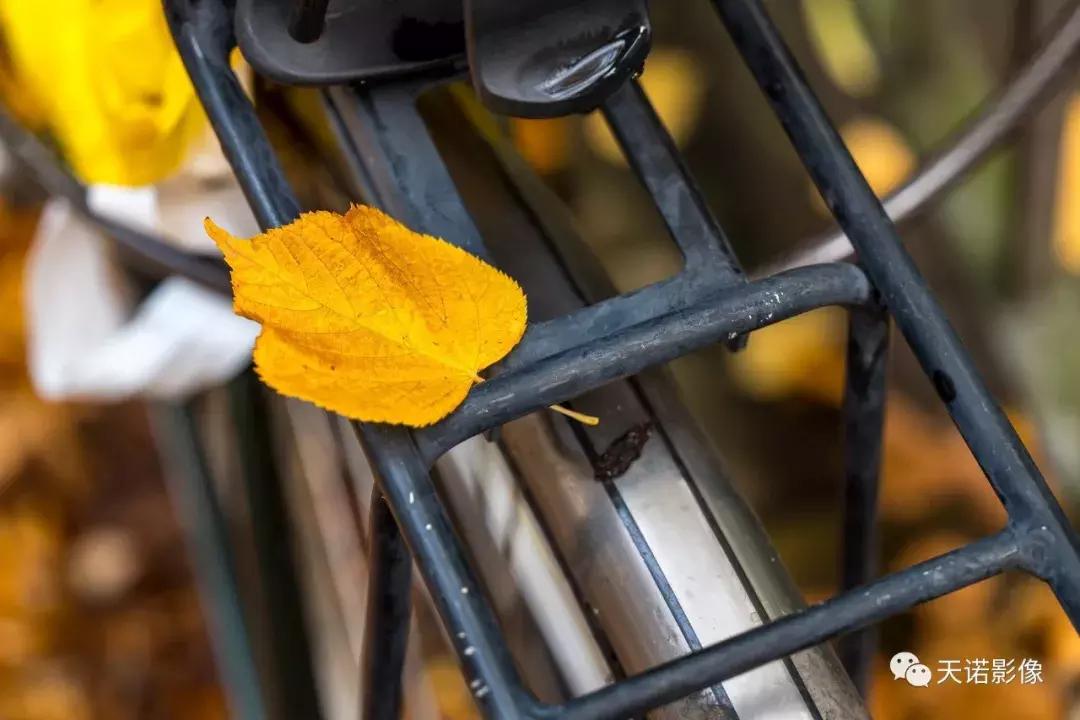 徕卡sl和sl2-s对比,徕卡sl是全画幅吗