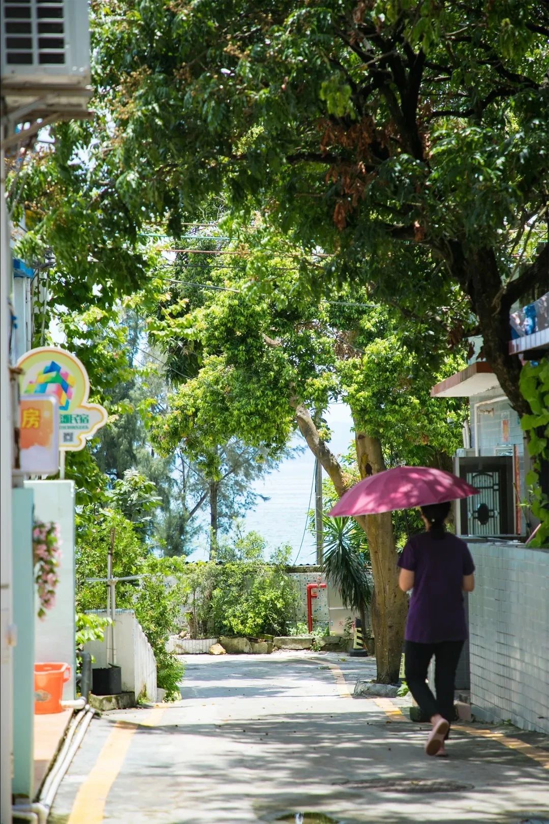 深圳旅游好去处推荐,深圳宝安区周末休闲浪漫好去处