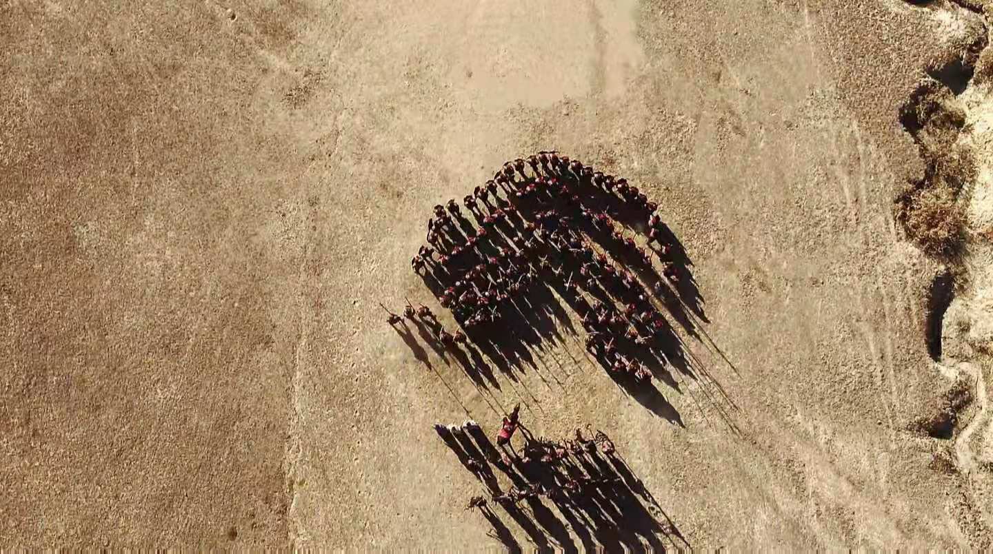 大秦赋秦军细节,大秦赋秦军阵法