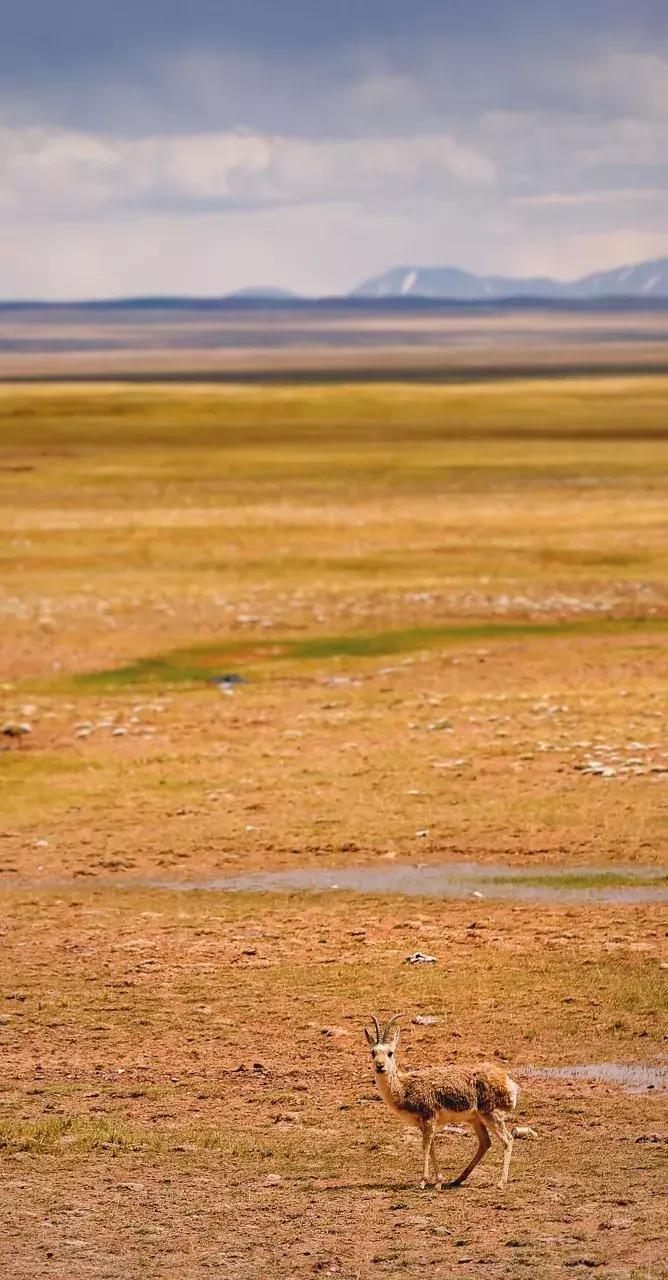 丽江最美的一个地方,中国最美100个地方丽江