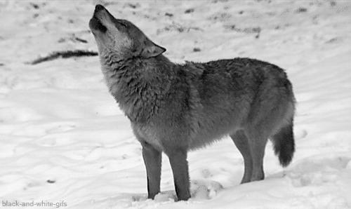 东北人冬天网购护肤品,东北人冬天网购化妆品