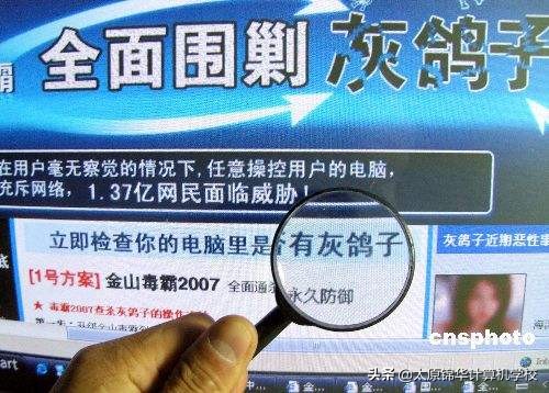 历史上出现的所有病毒,史上第一个计算机病毒叫什么