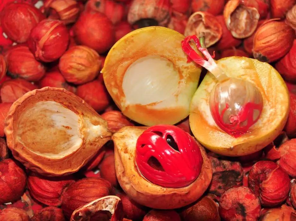 槟城特产购物必买清单,槟城道地小吃推荐图片欣赏