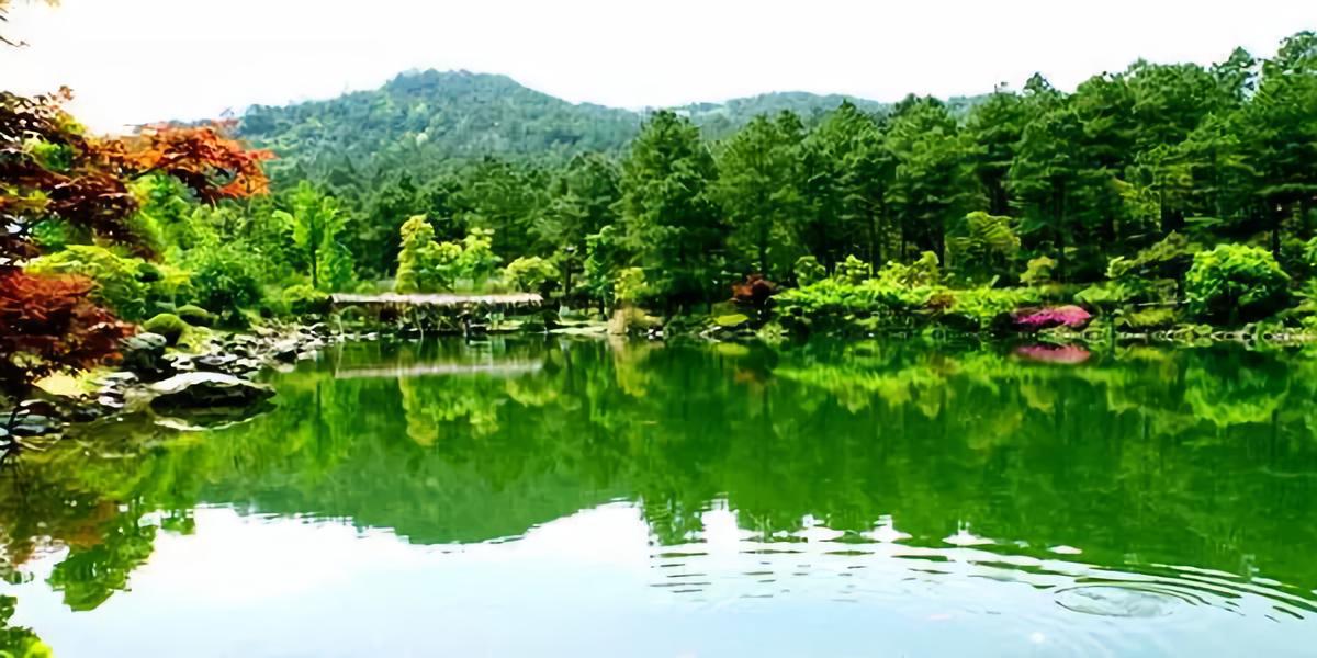 安吉城堡酒店主题房间,安吉带小孩子玩的度假酒店