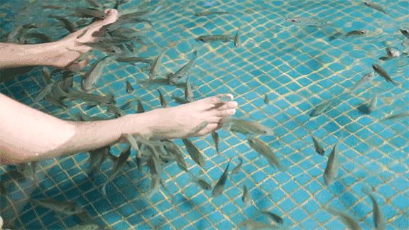 苏州乐园四季恒温温泉,苏州乐园四季恒温水乐园在哪里