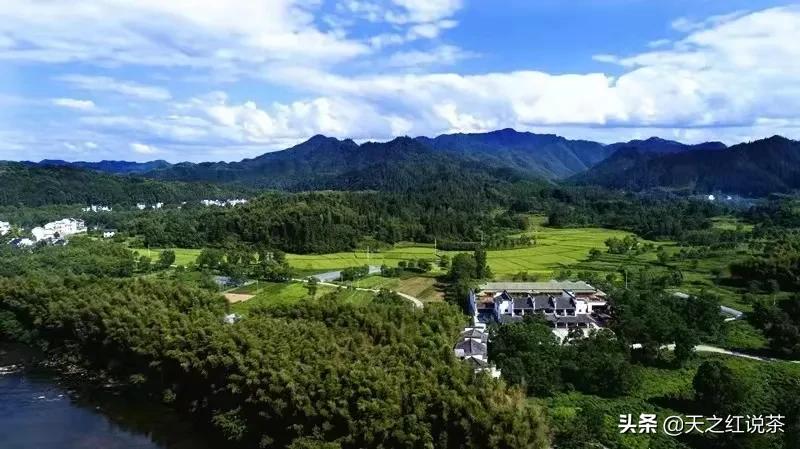 诗情绘美景文章颂茗香I天之红庄园秋行采风