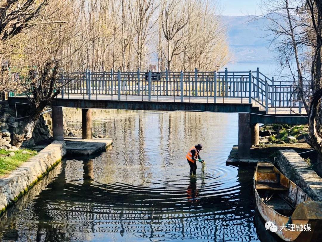 大理巍山疫情防控消息,大理永平疫情防控最新消息