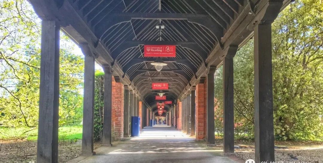 英国雷丁大学相当于国内哪所大学,雷丁大学国际金融