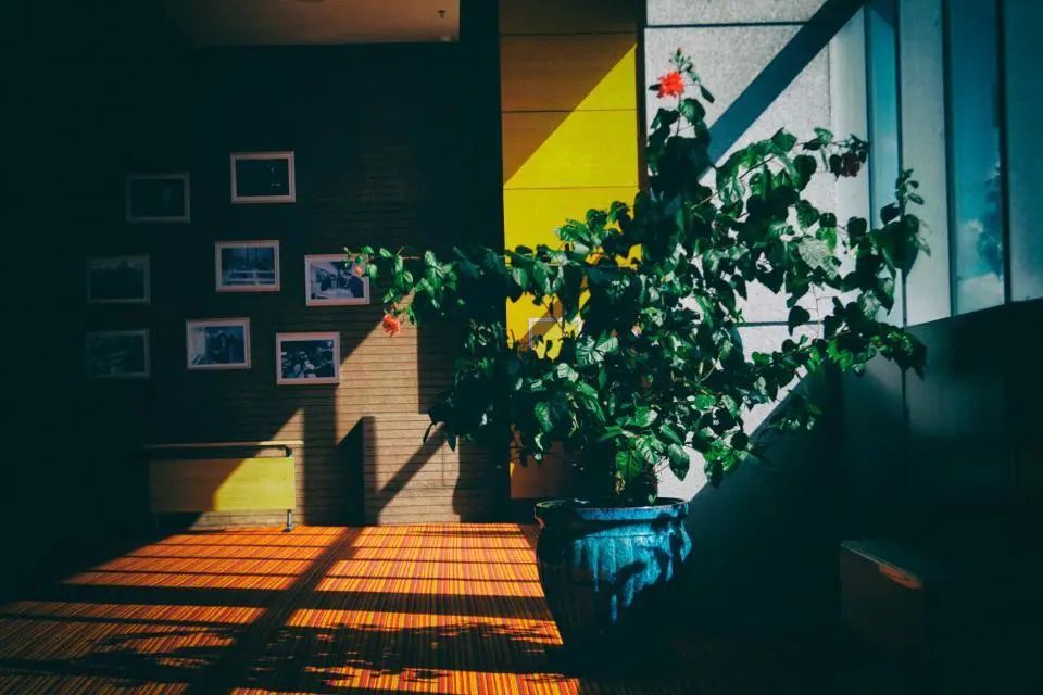 舍然软装跟蓝筱玉软装,做软装好吗