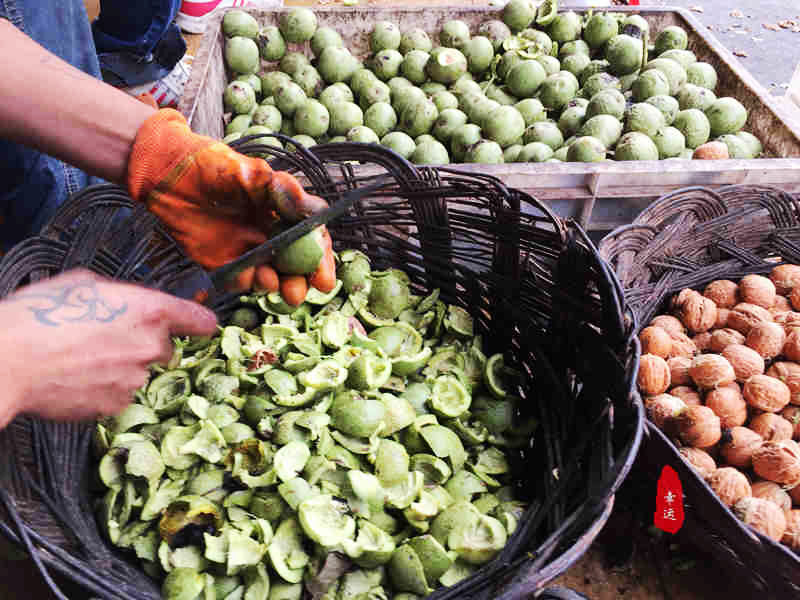 穿心莲木耳核桃拌凉菜,核桃穿心莲