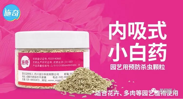 预防植物病虫害用什么药,植物病虫害防治的基本方法