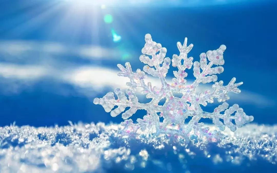 冬天最美的四首诗句,8首冬日诗词写尽冬日之美