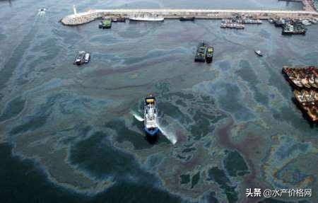 养鱼好不好,养鱼好养不