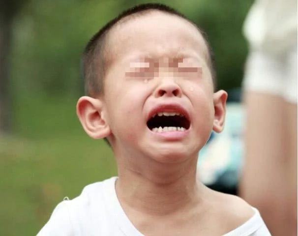 孩子在学校里打架还撒谎,孩子在幼儿园打架老师装作不知道