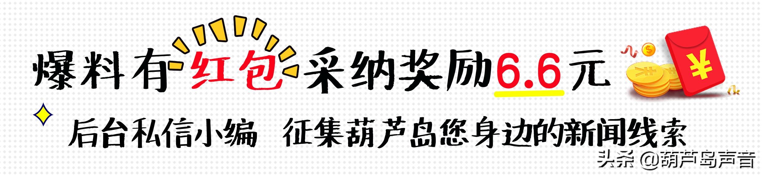 葫芦岛最新开通的公交车线路,葫芦岛9路公交最新消息
