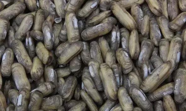 接下来3个月，福州人想吃这些海鲜要多花钱了！因为……