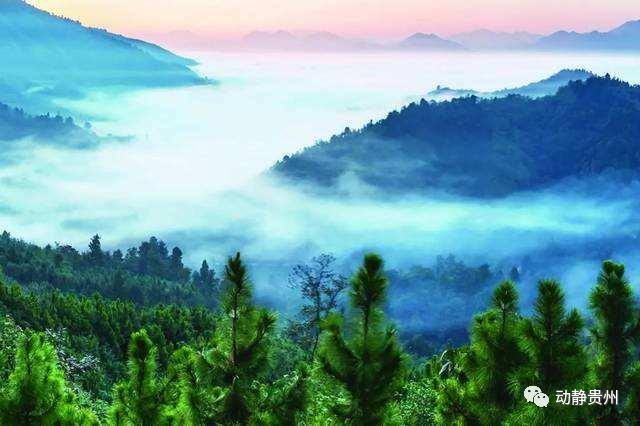 贵州绿博园门票预约,贵州景区预约门票的小程序是什么