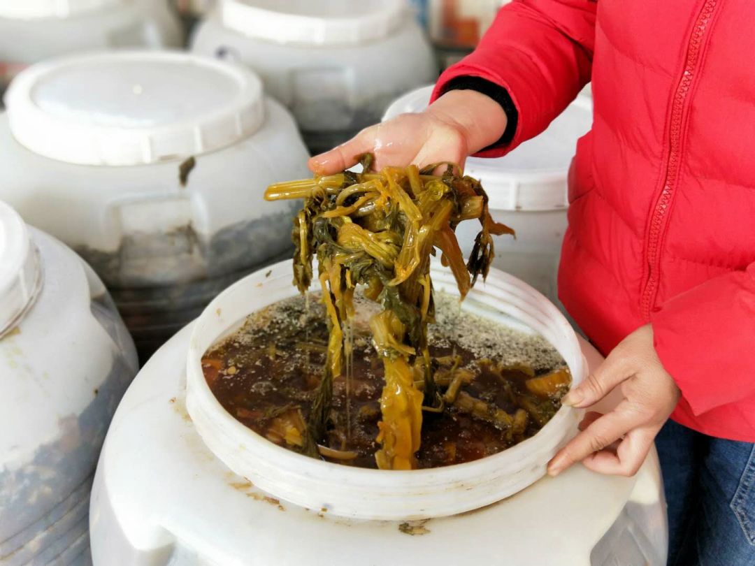 寿光这种“垃圾”火大了！它让纪台吕一村的全体菜农如获至宝