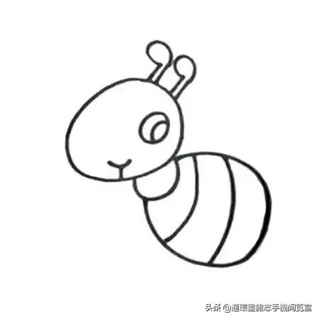 可爱的小昆虫简笔画,我认识的昆虫简笔画