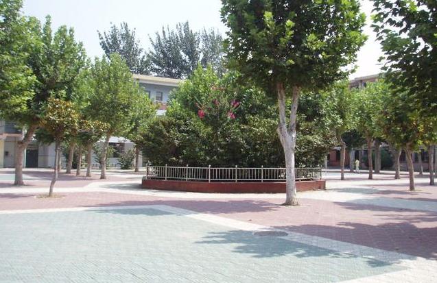 河南省这所高中厉害了，喜获文理状元，2020高考迎来大丰收