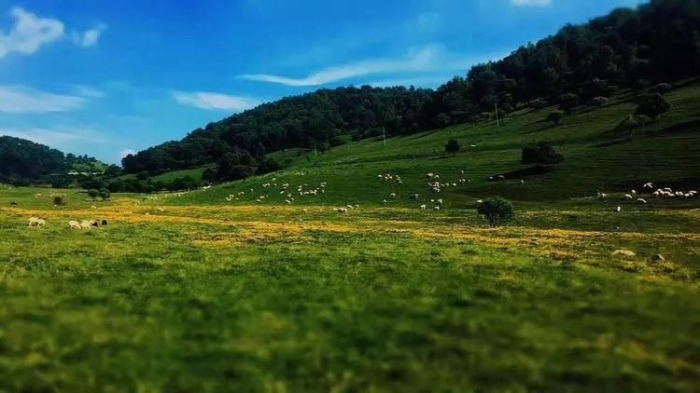 宝鸡附近避暑绝佳的地方,宝鸡十大避暑景点排名第一