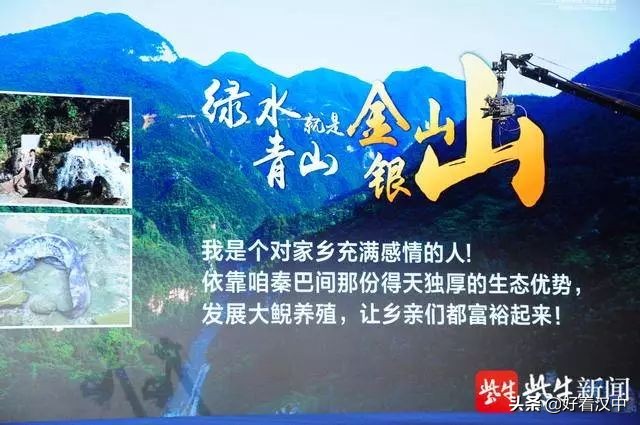 大山里养起娃娃鱼！双创明星带领村民家门口致富