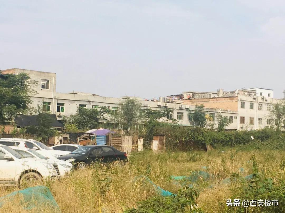 朗诗未来街区开盘价,朗诗未来树二手房房价