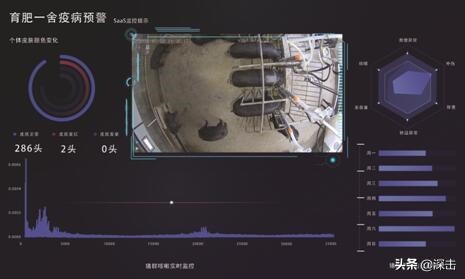 马云刘强东互联网养猪,为什么马云刘强东要去养猪