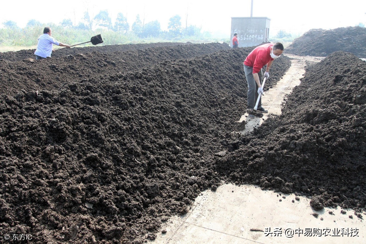 以虫治虫的方法,虫害防治最佳方法
