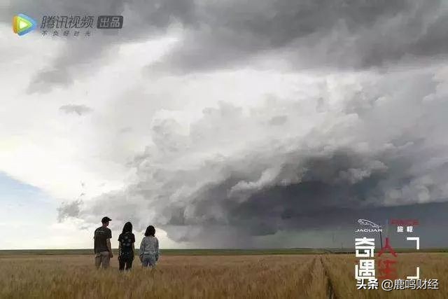 综艺赞助商出场,综艺节目赞助商排名