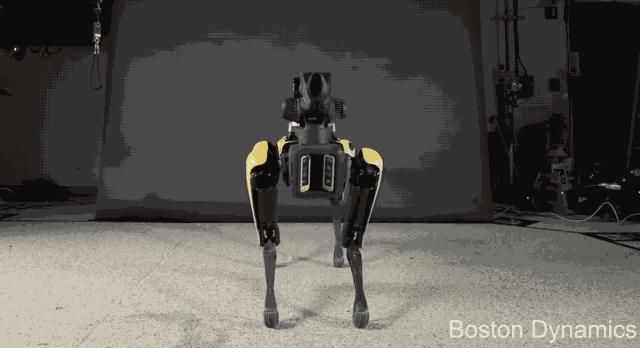 波士顿动力研发投入多少,波士顿动力公司展示机器人新技能