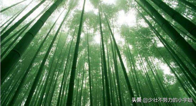 桃李不言下自成蹊感谢恩师的话,感谢师恩的经典诗词桃李满天下