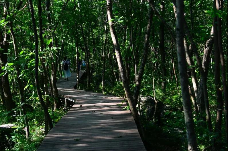 太白山避暑旅游攻略,避暑天堂太白县天气预报