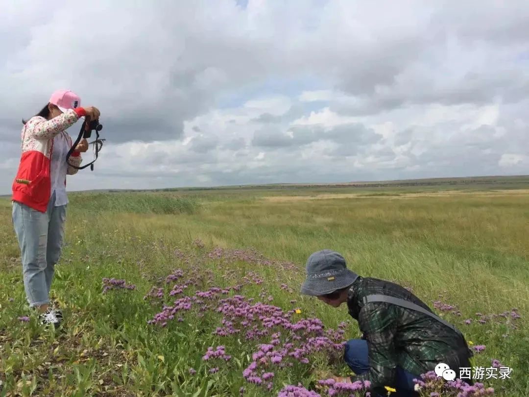 她让俄罗斯人搭车，还管饭，发现车上电脑不见，上海开车进俄罗斯