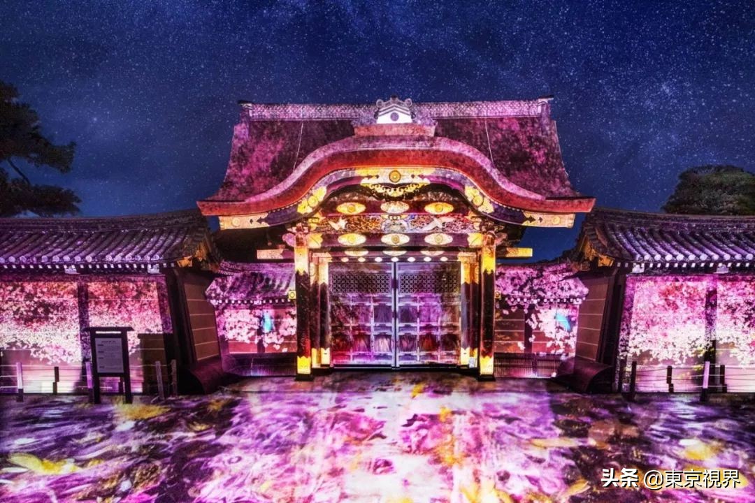 我在京都,攒下一整个春日的绝美樱色送给你。