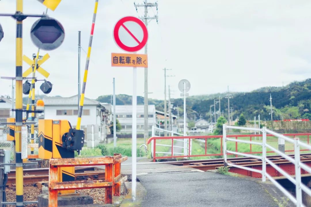 带父母豪华游轮环球旅行,带着父母们出游
