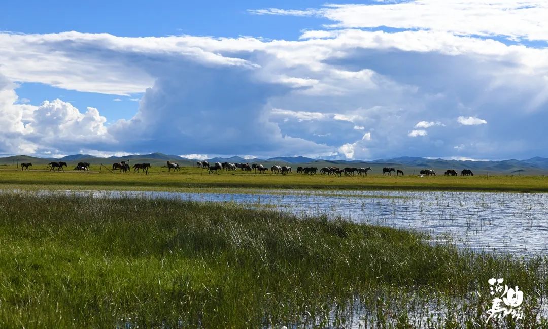 西安甘南自驾最佳线路攻略,甘南自驾3-4天最佳线路攻略