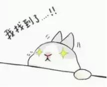 预算50元可以买什么好玩的,50元以下适合学生党买的蜥蜴