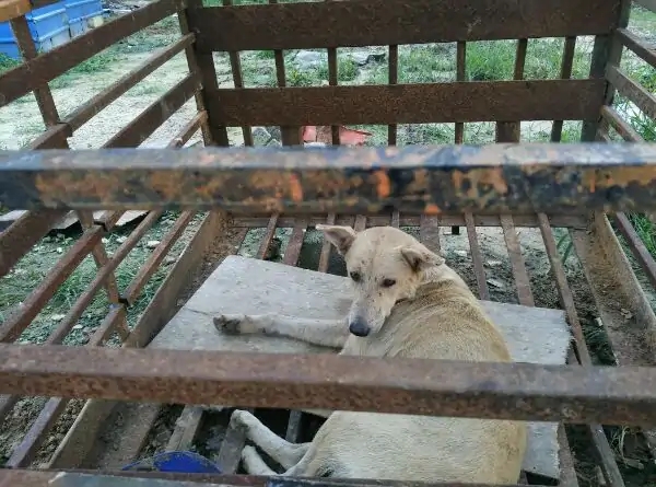 带你去赤道看海,赤道几内亚国家地图