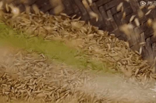 中国用了占世界多少的耕地,我国用占世界百分之几的耕地