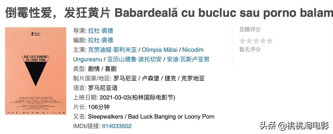 视频门、恋爱与出轨、法版李焕英……他们在柏林,都遭遇了什么?