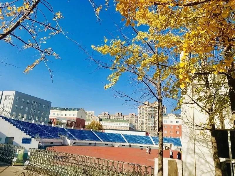 体育场馆免费开放政策,周末体育场馆免费开放